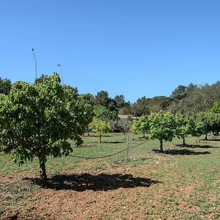Amasana - Your Sanctuary Of Peace In Ibiza - 6 Br * Santa Eularia des Riu