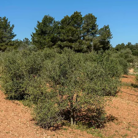 Amasana - Your Sanctuary Of Peace In Ibiza - 6 Br * Santa Eularia des Riu