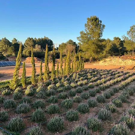 Amasana - Your Sanctuary Of Peace In Ibiza - 6 Br فيلة سانتا أيُلاريا ذيس ريو