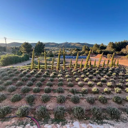 فيلة Amasana - Your Sanctuary Of Peace In Ibiza - 6 Br *
