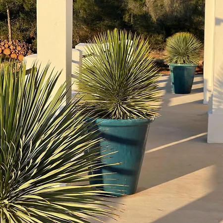 Amasana - Your Sanctuary Of Peace In Ibiza - 6 Br فيلة