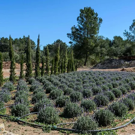 فيلة Amasana - Your Sanctuary Of Peace In Ibiza - 6 Br سانتا أيُلاريا ذيس ريو