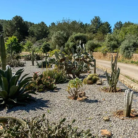 Amasana - Your Sanctuary Of Peace In Ibiza - 6 Br سانتا أيُلاريا ذيس ريو
