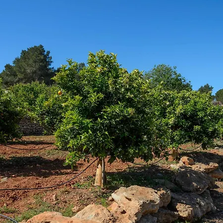 Amasana - Your Sanctuary Of Peace In Ibiza - 6 Br فيلة *