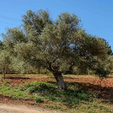 فيلة Amasana - Your Sanctuary Of Peace In Ibiza - 6 Br سانتا أيُلاريا ذيس ريو