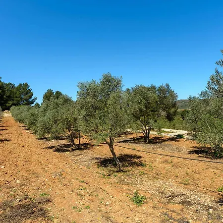 فيلة Amasana - Your Sanctuary Of Peace In Ibiza - 6 Br سانتا أيُلاريا ذيس ريو