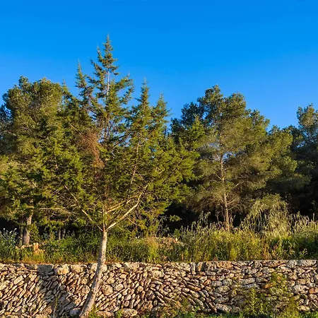 فيلة Amasana - Your Sanctuary Of Peace In Ibiza - 6 Br *